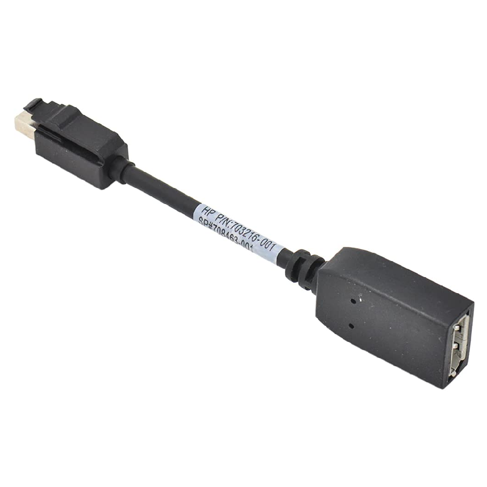 HP Mini DisplayPort naar DisplayPort Adapter - 708463-001